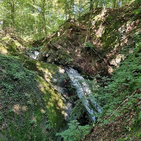 Ferienwohnung Zum Hirschen Herzberg am Harz Extérieur photo
