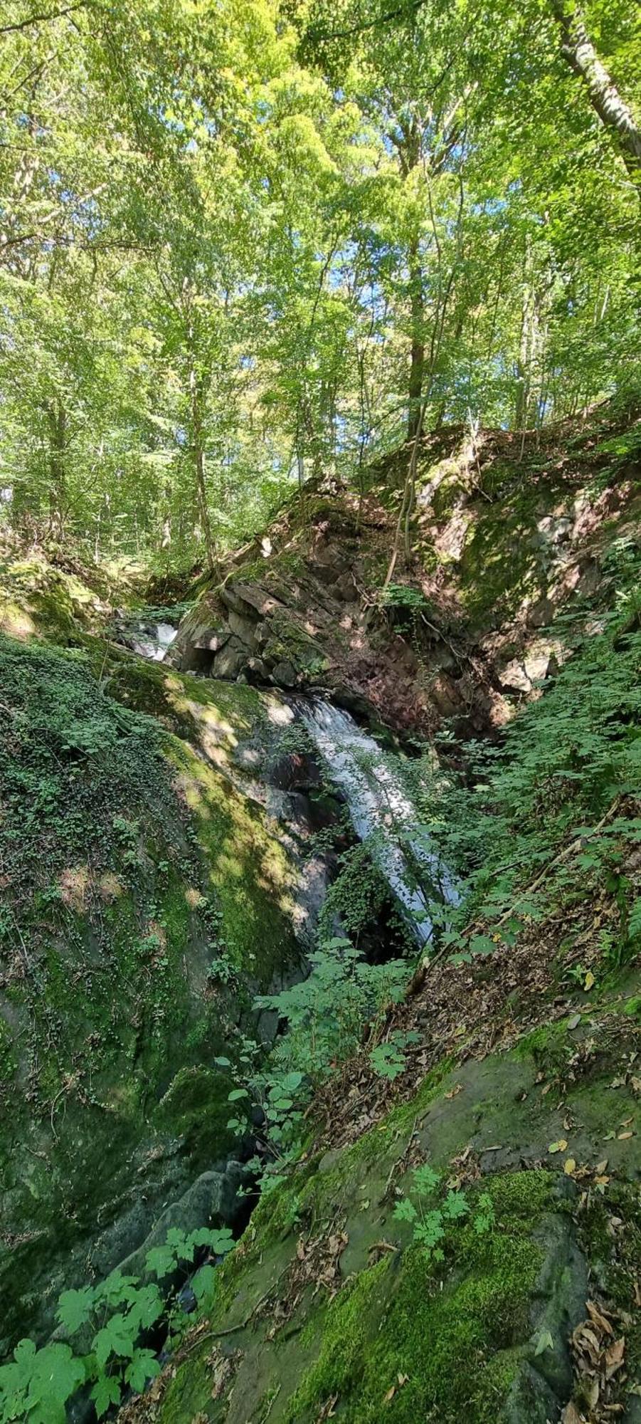 Ferienwohnung Zum Hirschen Herzberg am Harz Extérieur photo