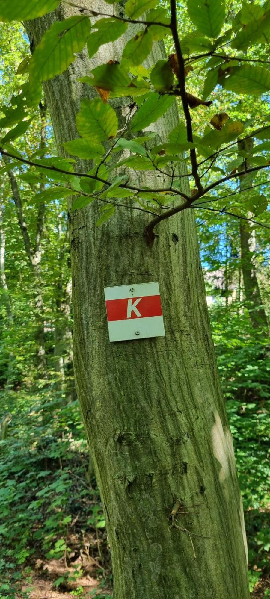 Ferienwohnung Zum Hirschen Herzberg am Harz Extérieur photo